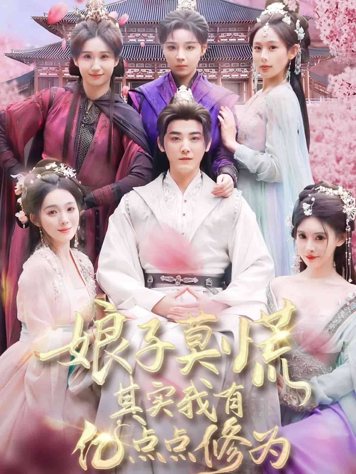 娘子莫慌其实我有亿点点修为(全集)