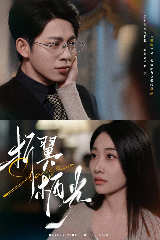 折翼栖光 第38集