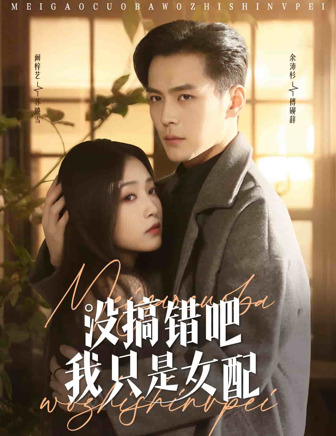没搞错吧我只是女配 第30集