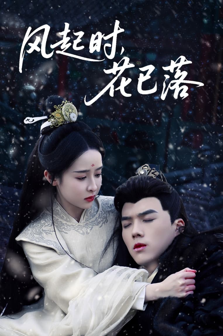 风起时，花已落 第12集