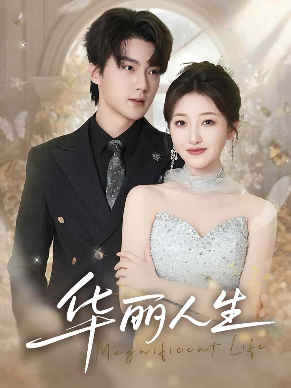 华丽人生 第25集