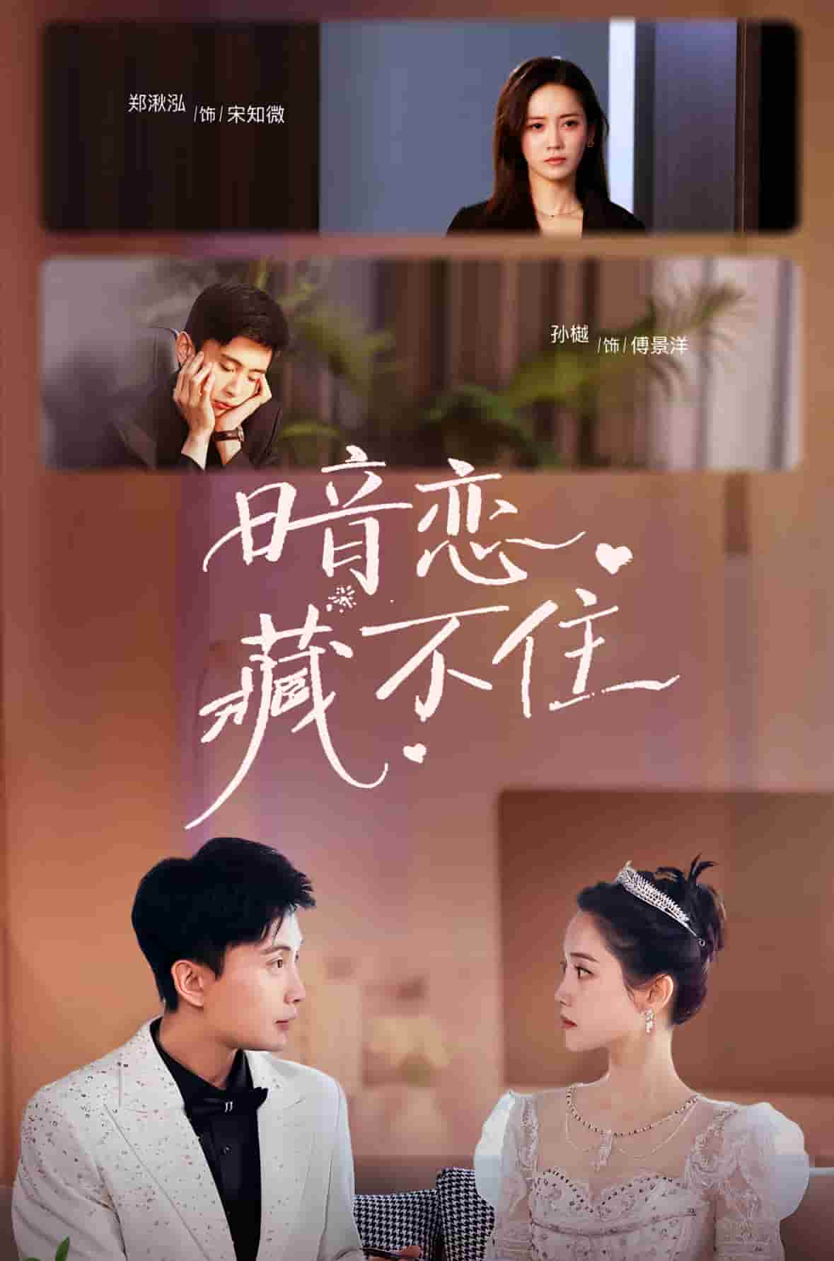 暗恋藏不住 第17集