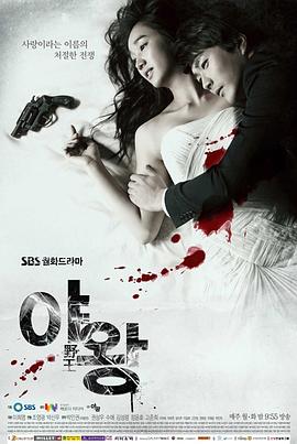 野王2013 第17集