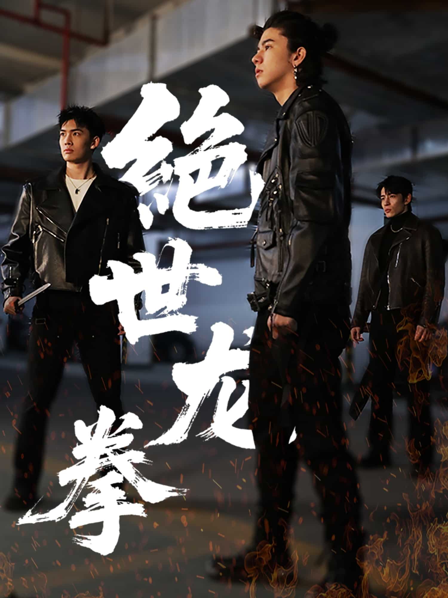绝世龙拳 第22集