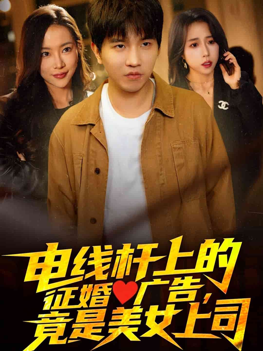 电线杆上的征婚广告，竟是美女上司 第1集