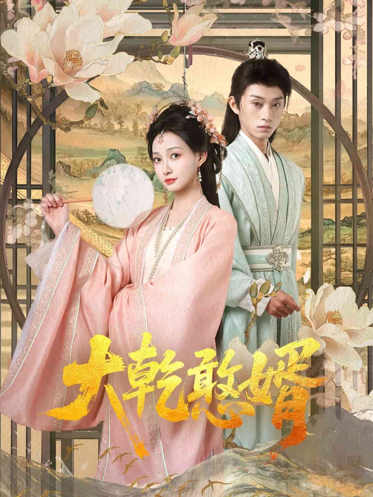 大乾憨婿 第27集