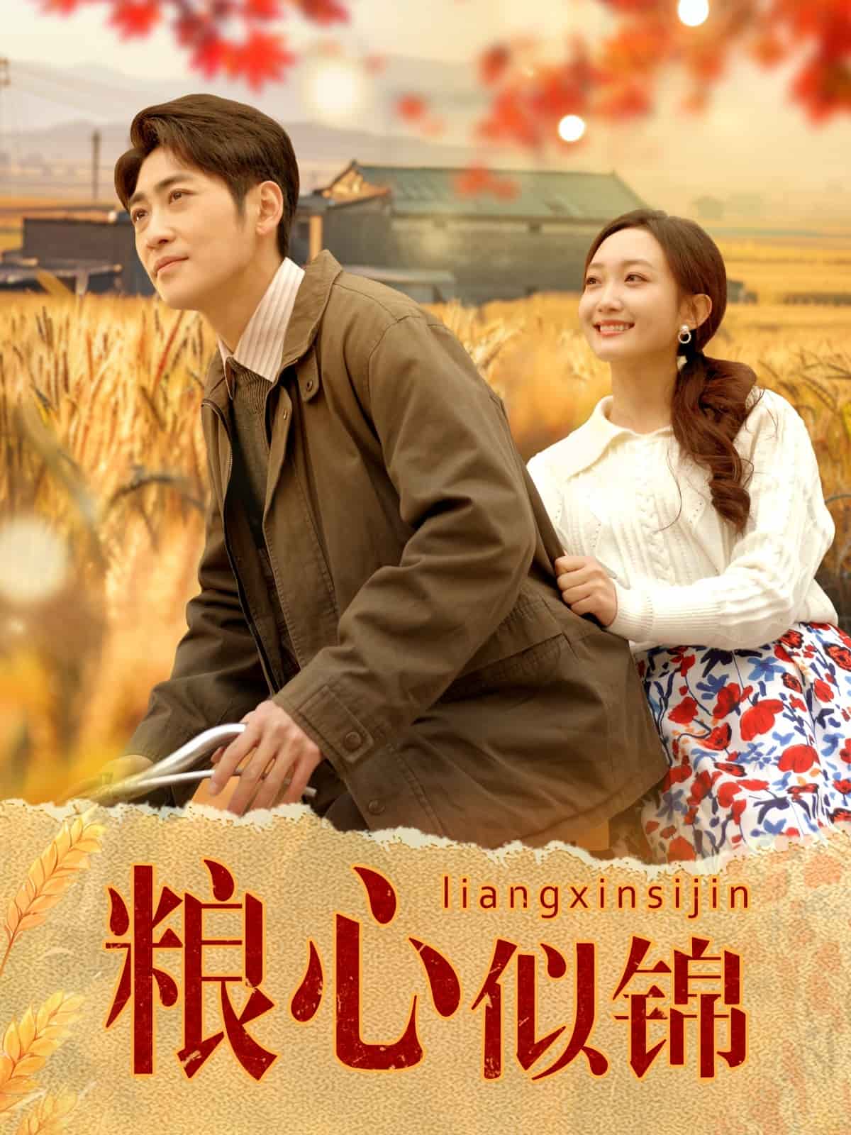 粮心似锦 第13集