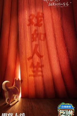 向往的生活第八季 回顾