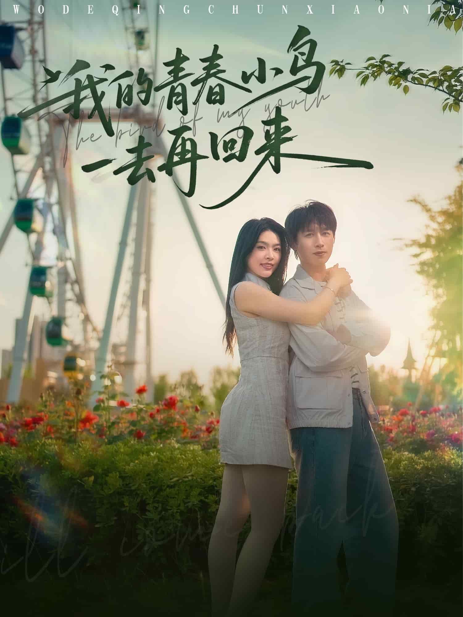 我的青春小鸟一去再回来 第95集(大结局)