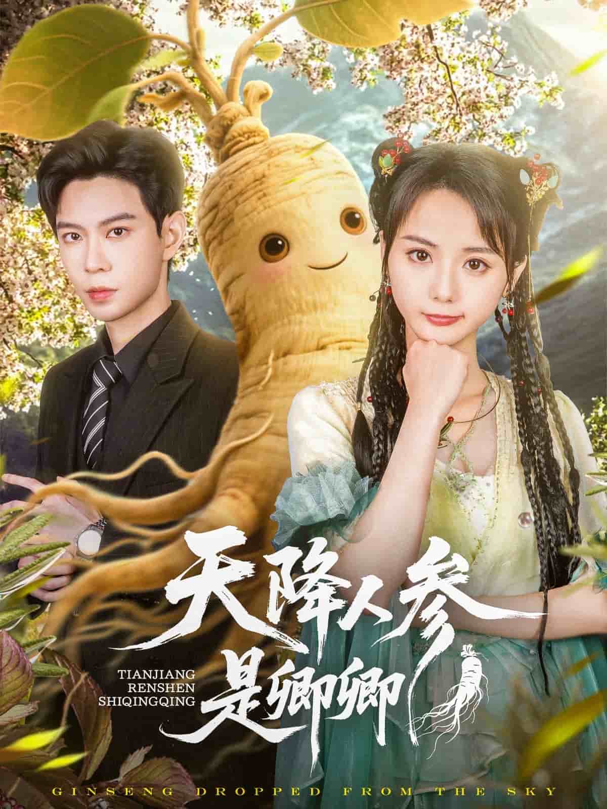 天降人参是卿卿 第13集