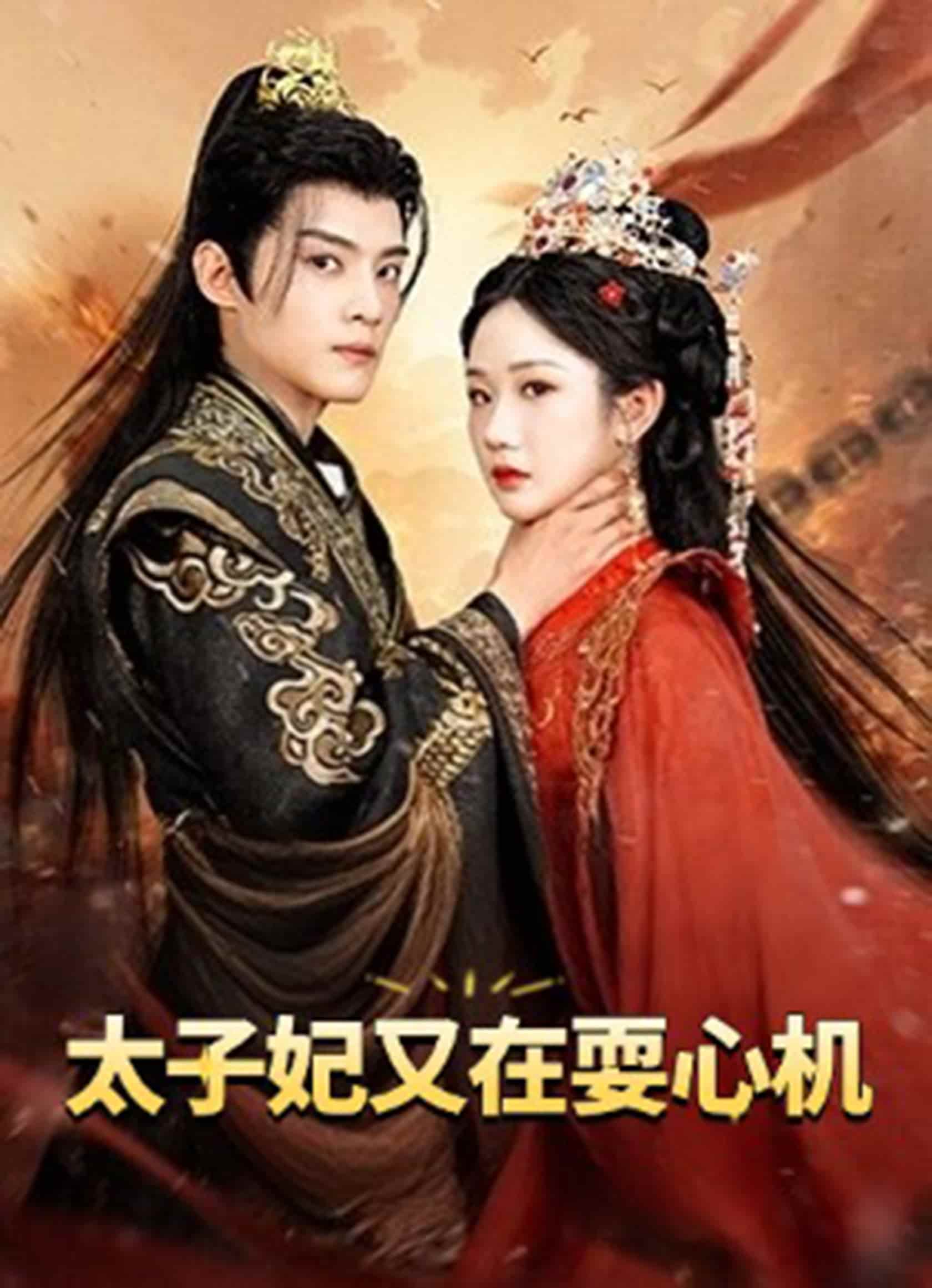 太子妃又在耍心机 第51集
