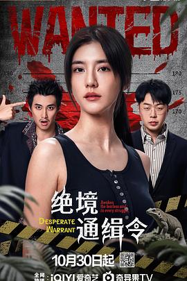 绝境通缉令 第20集
