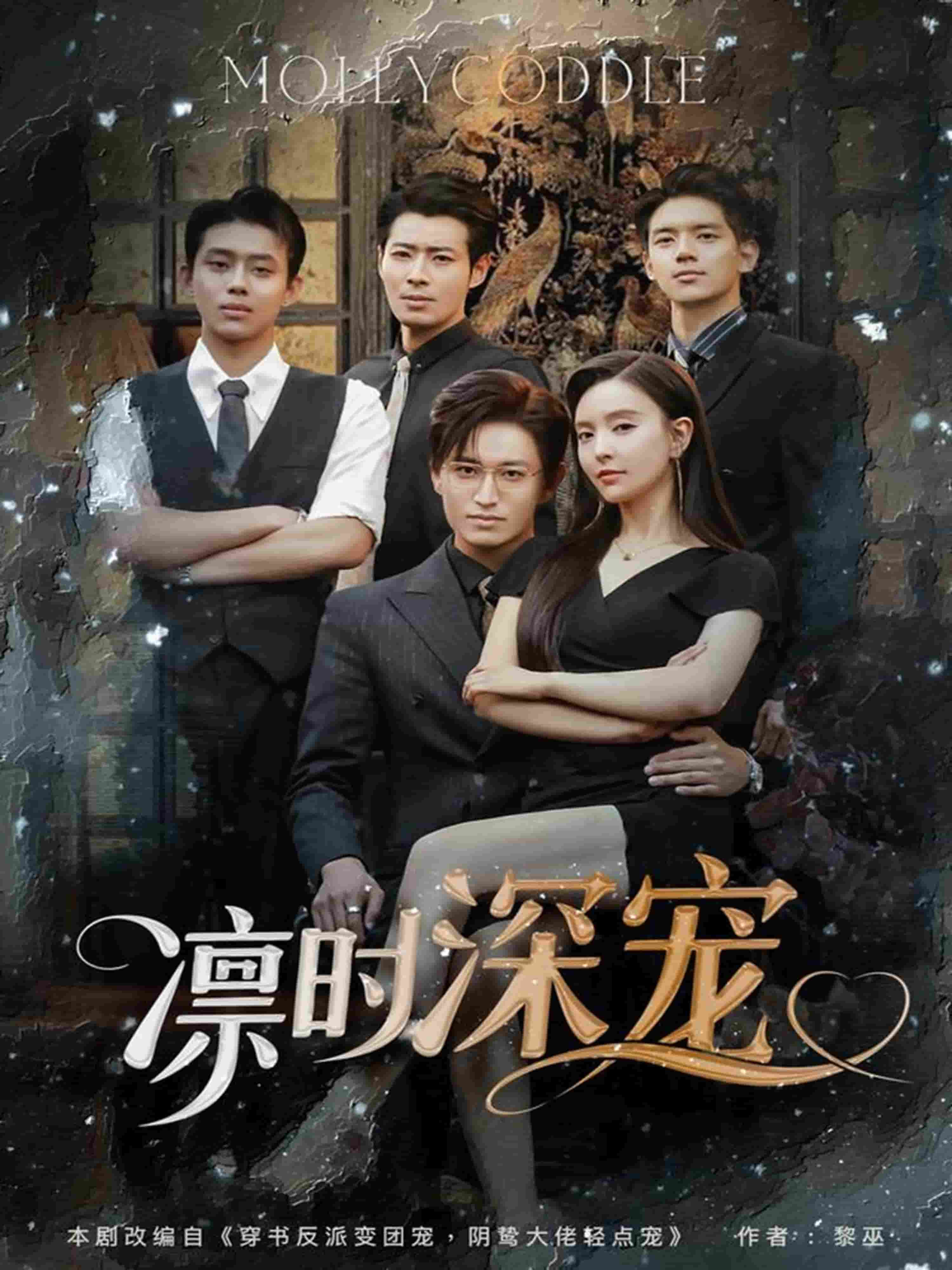 凛时深宠 第65集