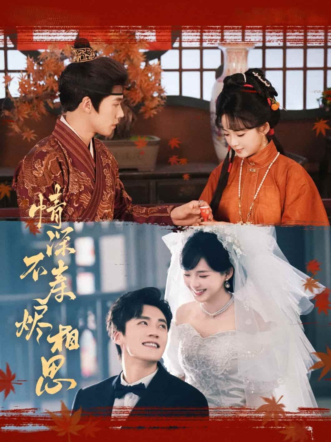 情深不寿烬相思 第21集