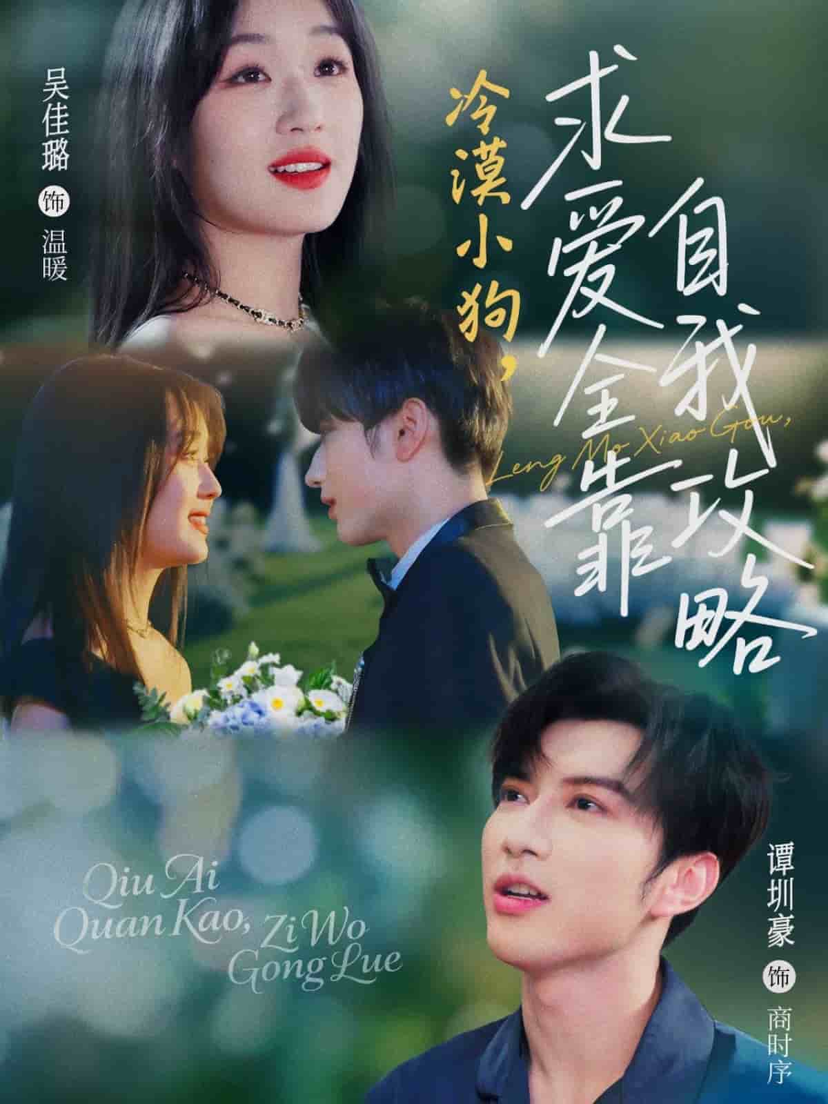 冷漠小狗求爱全靠自我攻略 第13集