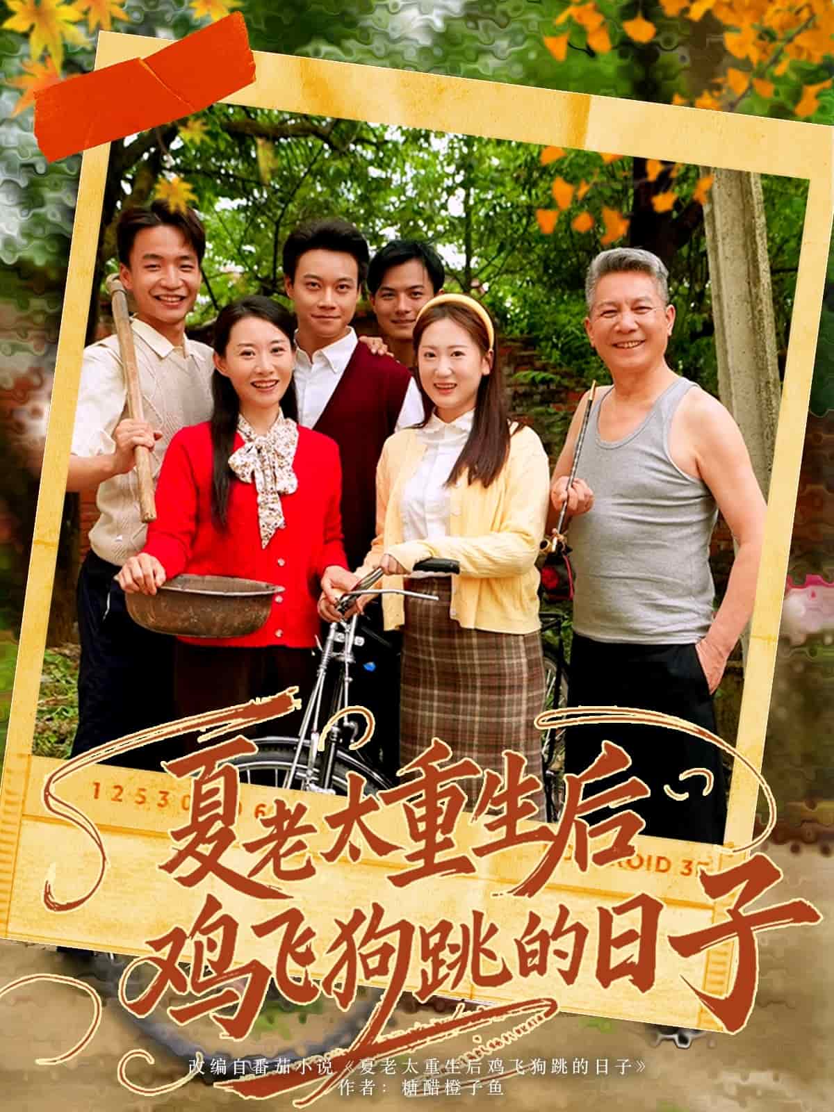 夏老太重生后鸡飞狗跳的日子 第57集