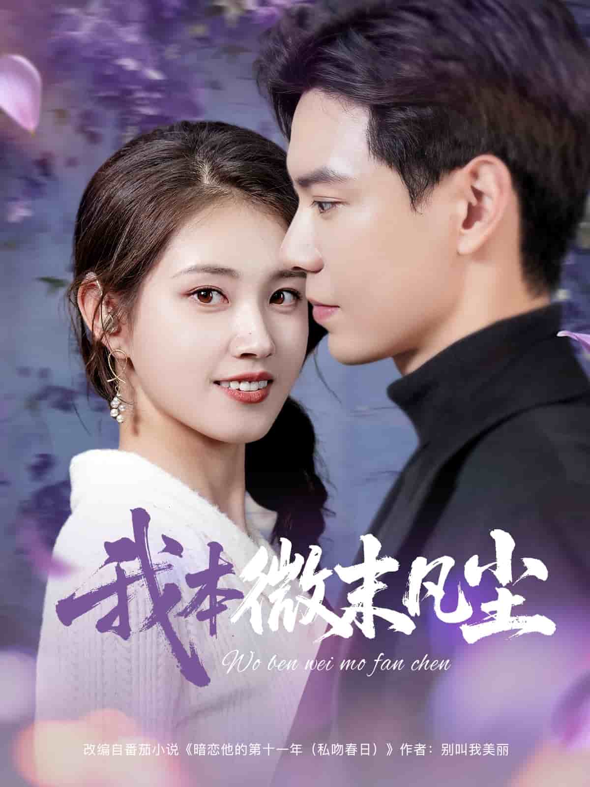 我本微末凡尘 第27集