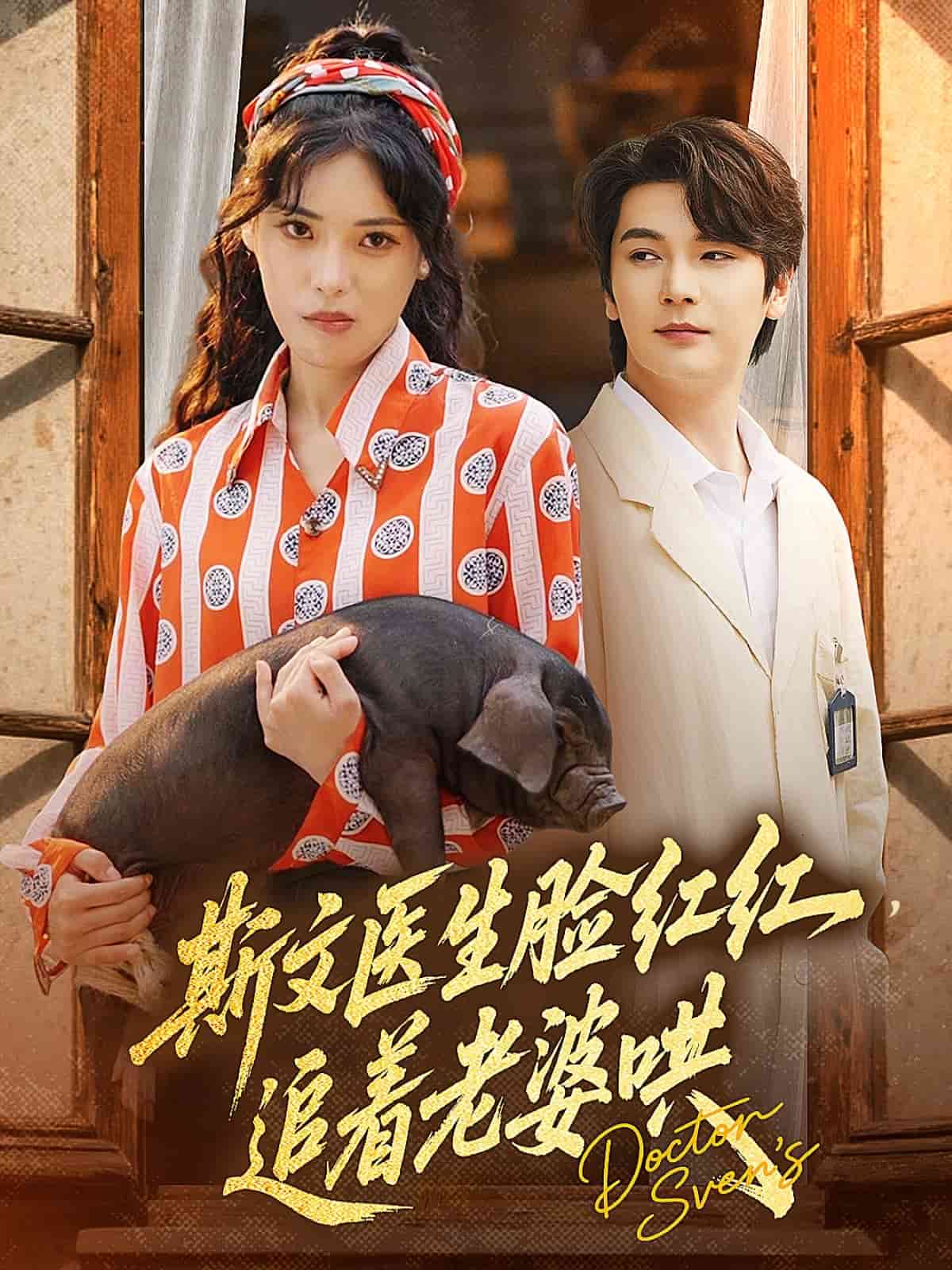 斯文医生脸红红追着老婆哄 第42集