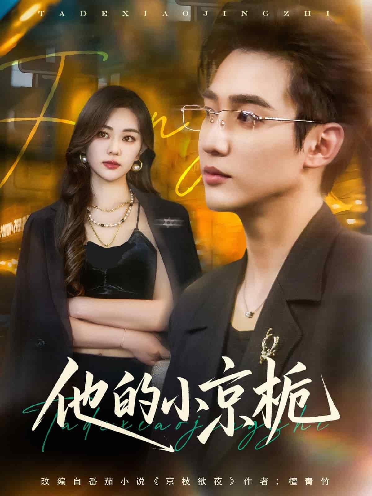 他的小京栀(全集)