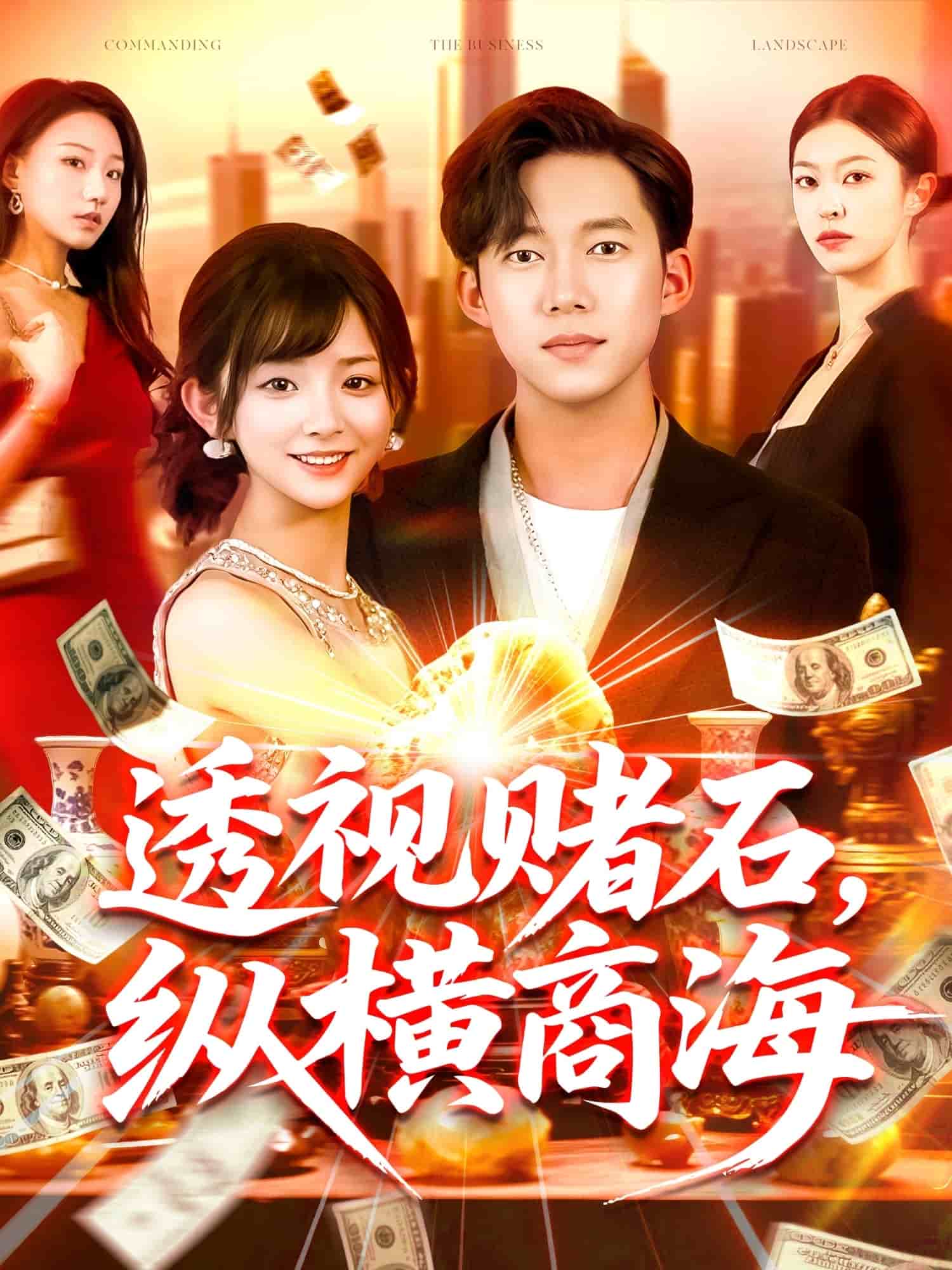 透视赌石，纵横商海(全集)