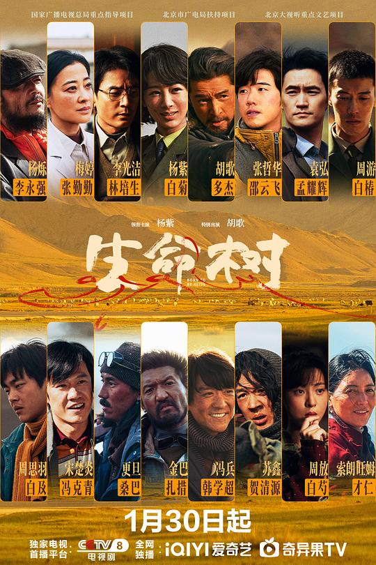 生命树 第38集