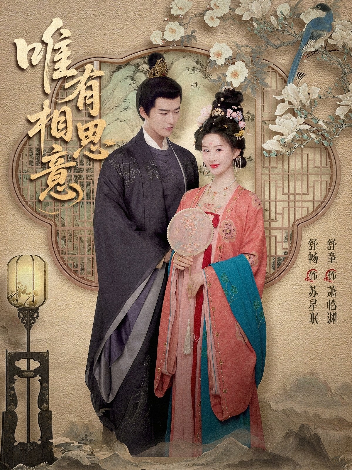 唯有相思意 第065集