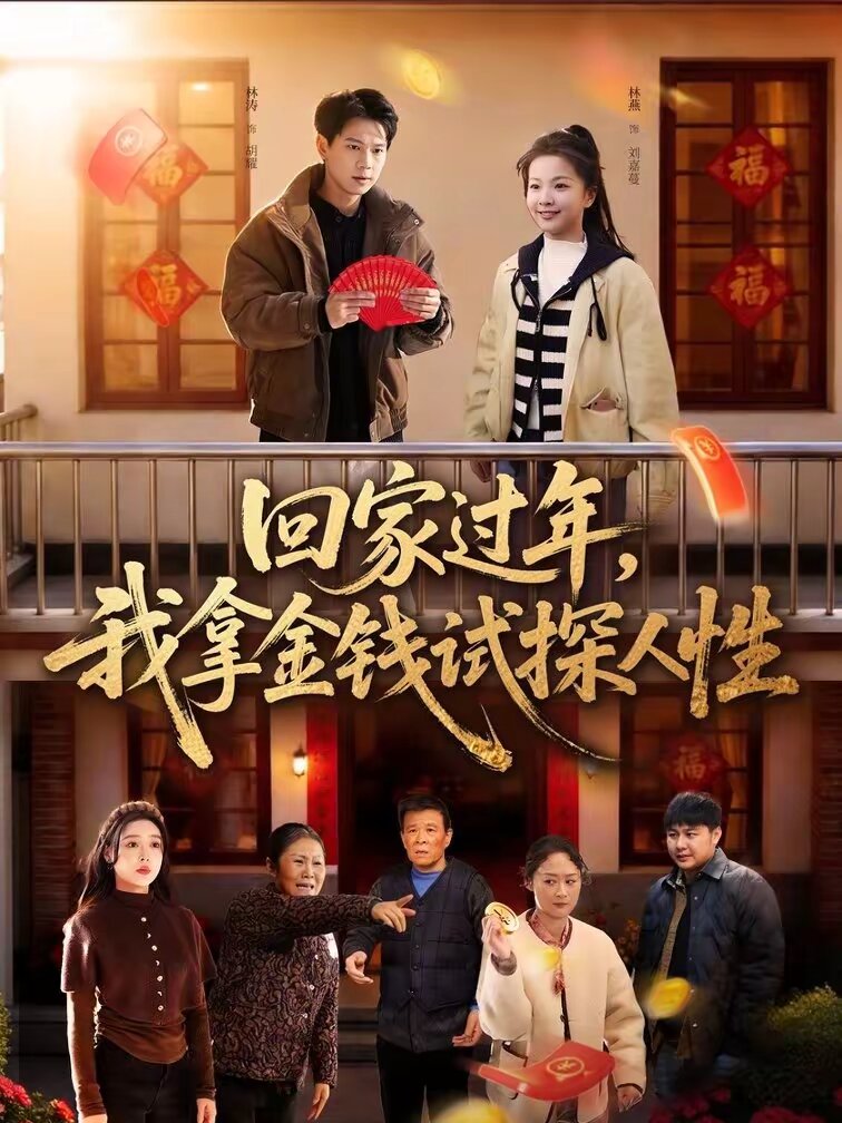 回家过年，我拿金钱试探人性 第087集