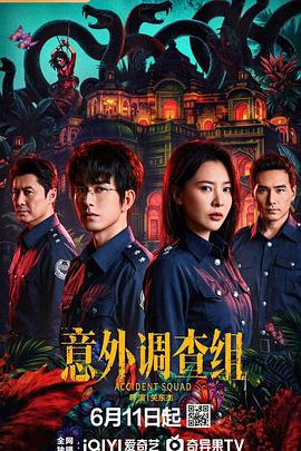 意外调查组 第16集